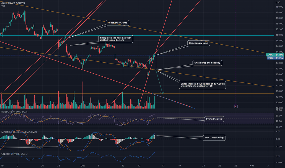 The case for a potential bear trap