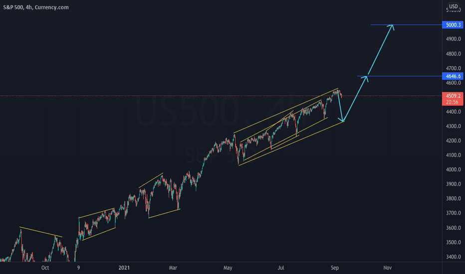 ROADMAP TO 5000 