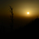Rishabh4