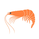 GoldenShrimp