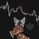 hafi_Trader
