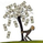 Cashtreeman