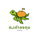 Turtleinvests