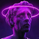 kingseb
