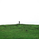 gl_clicks