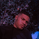 Duwane_W