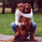 Sanjay_Mistry
