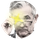 1BigPapi