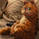 FNSB