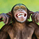 MonkeyBrain