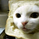 IEatGreenPaper