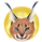 caracaltrading