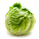 dreamlettuce