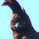 composer2be