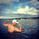 stephen0215