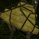 tradepack