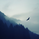R2D2_Cryptogod