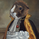 LordGuineaPig
