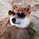 Dogecoin_Shill