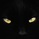 cryptoblacat