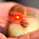 CriptoDuck