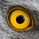 EagleEyeAnalytics