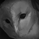 im-the-owl