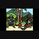 Sandyman_Js