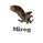 Mireg