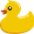 EXLUSIVOO
