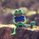GregTheSpider69
