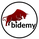 bidemy