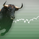 Bitgunbull