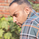 llovecricket892