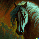 wildhorse3