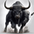 trader585716