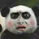 williamzhao78