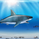 thesharkke