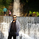 ruselforex