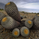 AtacamaFund