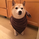 marketfellow