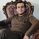 amirjafari221168