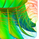 LaminarM