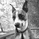 EthereumTradingForumFounder