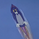 Tom_the_Moon