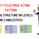 creatingforexwealth