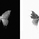 Butterfly_Effect