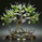 glasstree