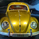 Goldybug