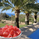 AltairView